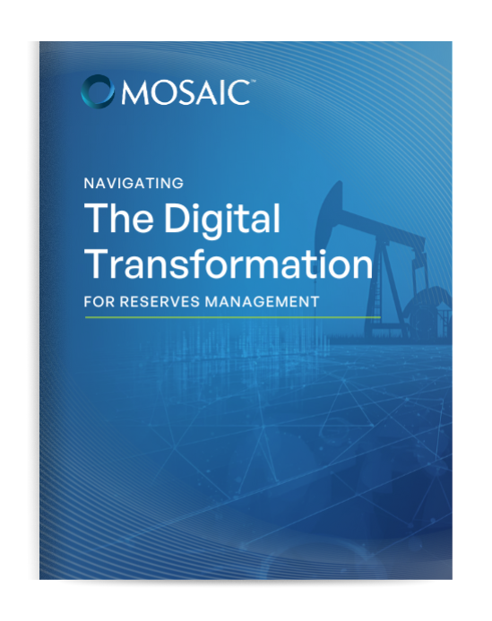 E-Book Digital Transformation for Reserves Management
